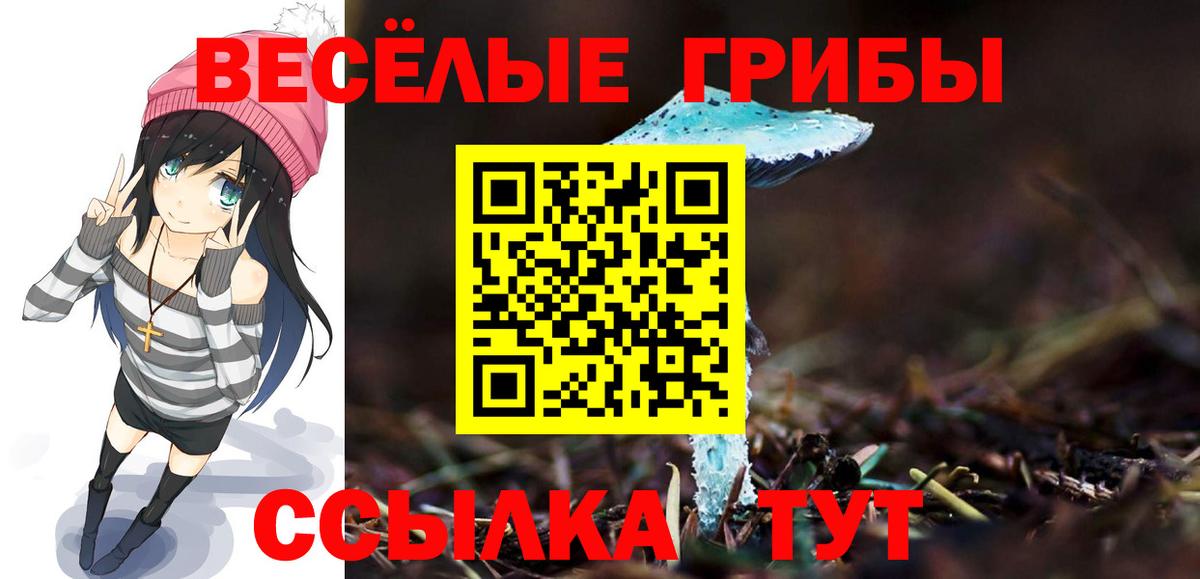 Галлюциногенные грибы MAGIC MUSHROOMS  где продают   Удомля  Вход с VPN 